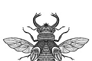 Sketch decorative bug