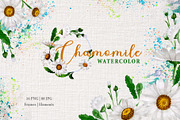 Chamomile Watercolor png