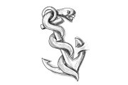 Asclepius Snake Curling Up on Anchor