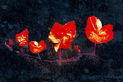 Grunge Floral Collage Design