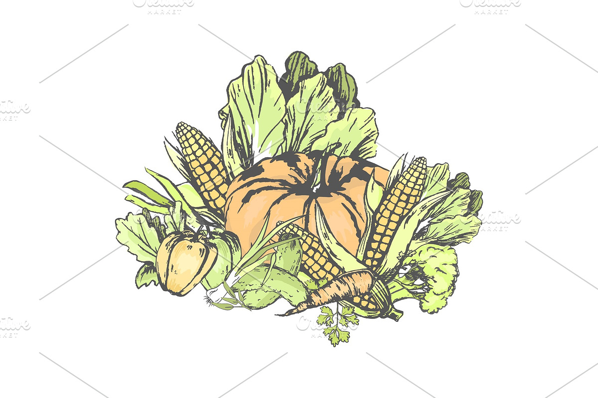 Fresh Vegetables Set on White in in Illustrations - product preview 8