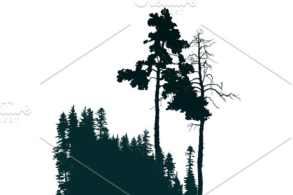 Vector landscapes set in Illustrations - product preview 4