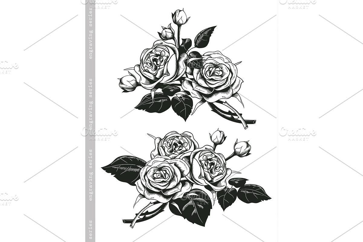 Hand sketched set of white roses in Illustrations - product preview 8