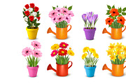 Mega collection of flowers in pots