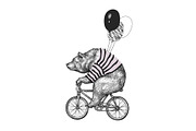Bear Rides Bicycle T-shirt Print