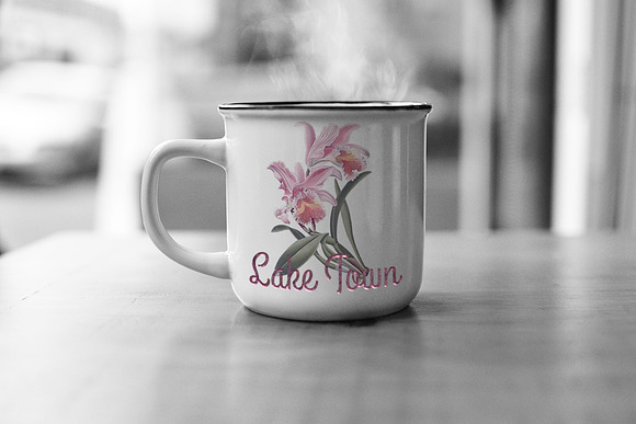 Orchid Pink Easter Orchid in Illustrations - product preview 3