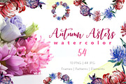 Autumn Asters Watercolor png 
