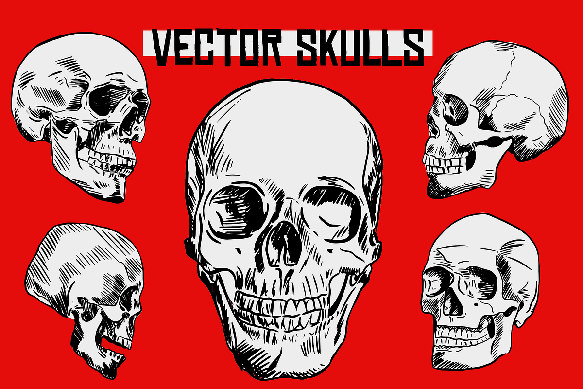 Hand Drawn Vector Skulls in Illustrations - product preview 8
