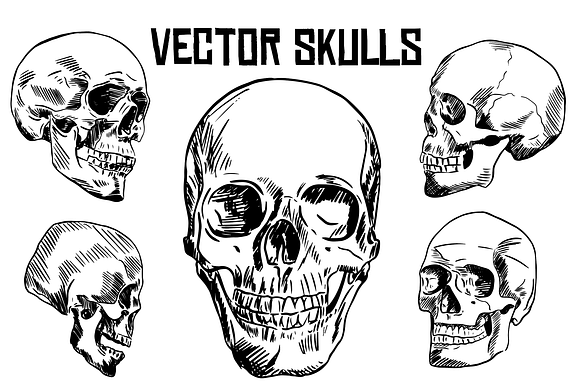 Hand Drawn Vector Skulls in Illustrations - product preview 1