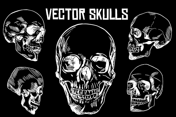 Hand Drawn Vector Skulls in Illustrations - product preview 2