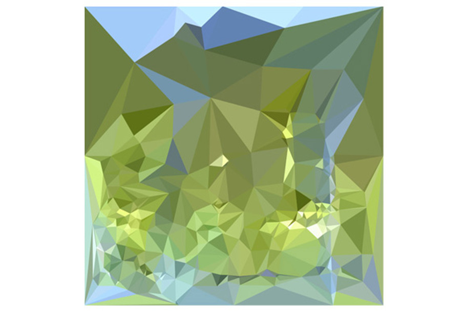 Limerick Green Abstract Low Polygon
