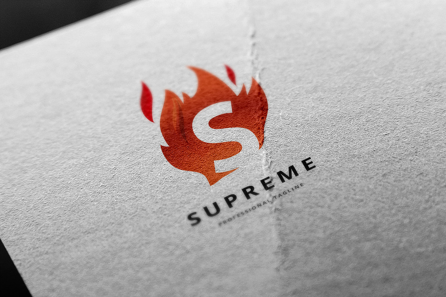 Letter S Fire Logo in Logo Templates - product preview 8