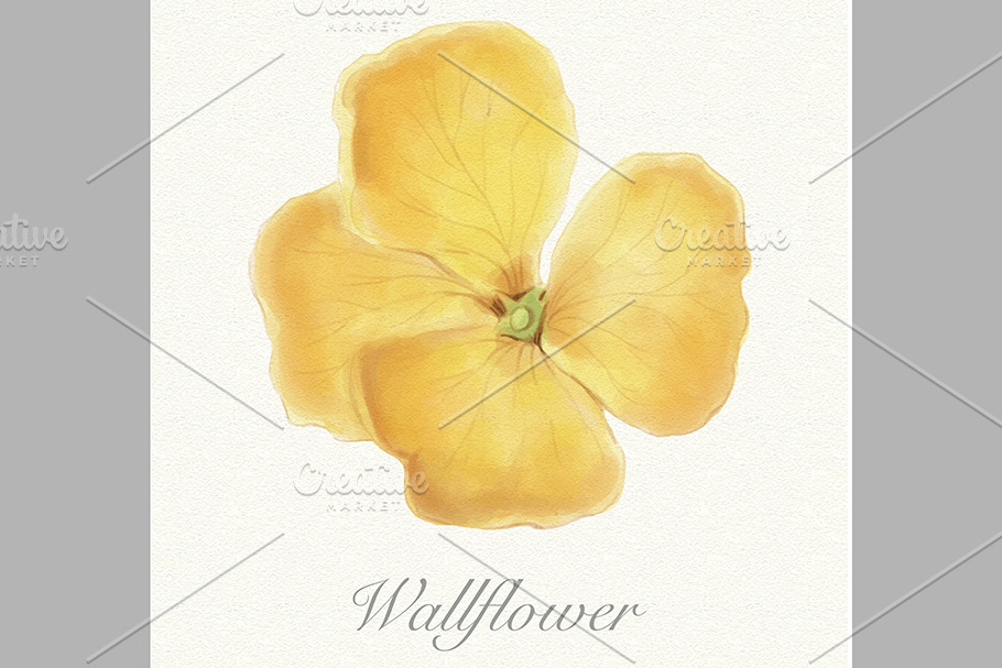 Yellow watercolor wallflower card