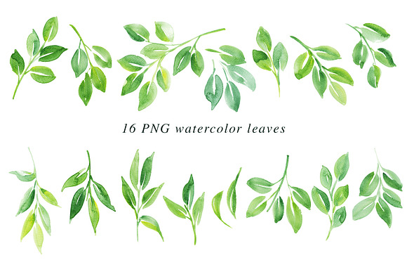 16 Watercolor Leaf PNG Paintings in Illustrations - product preview 1