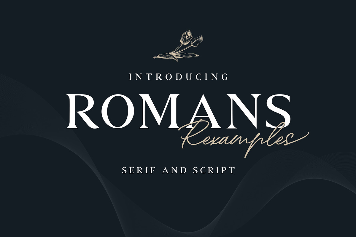 ROMANS Rexamples Font Duo in Serif Fonts - product preview 8