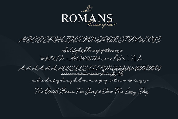 ROMANS Rexamples Font Duo in Serif Fonts - product preview 7