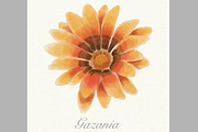 Orange watercolor gazania card