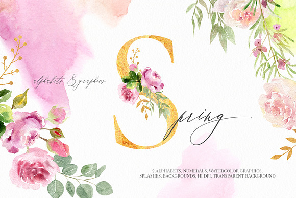 Spring flower in Illustrations - product preview 14