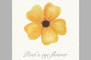 Yellow watercolor poet's eye flower 