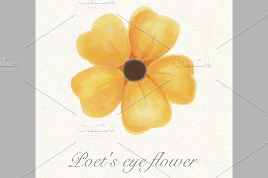 Yellow watercolor poet's eye flower 