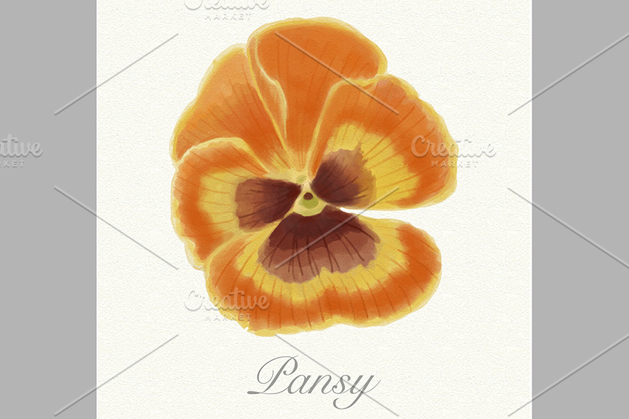 Orange watercolor pansy card