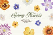 Spring flowers collection