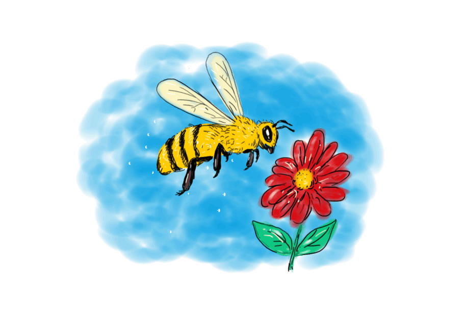 Animation Honeybee Hovering Flower 