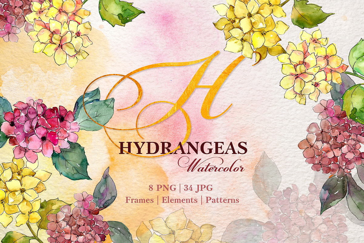 Hydrangeas Yellow-pink Watercolor  in Illustrations - product preview 8