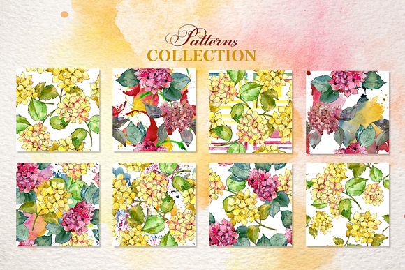 Hydrangeas Yellow-pink Watercolor  in Illustrations - product preview 4