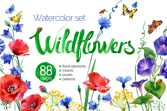 watercolor wildflower in Illustrations - product preview 1