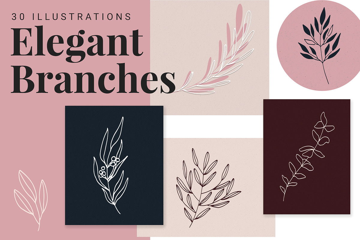 Elegant Branch Illustrations in Illustrations - product preview 8