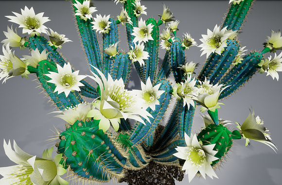 Cactus B2L in Objects - product preview 1