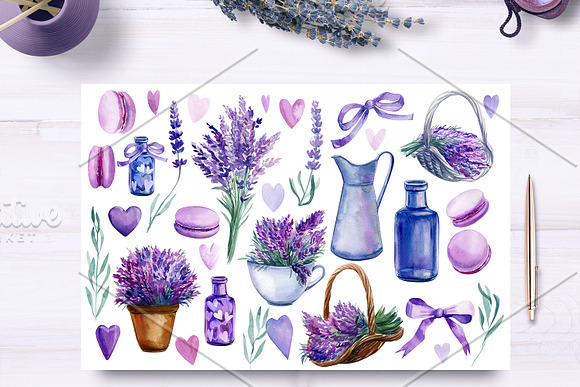 Lavender watercolor in Illustrations - product preview 3