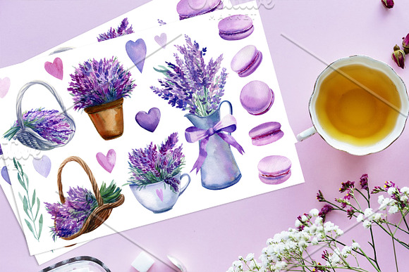 Lavender watercolor in Illustrations - product preview 4