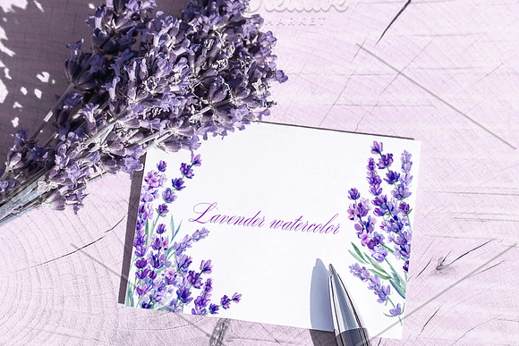 Lavender watercolor in Illustrations - product preview 5