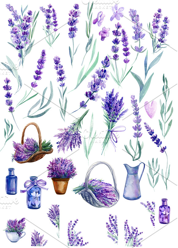 Lavender watercolor in Illustrations - product preview 6