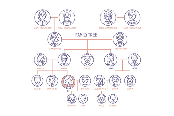 Family tree illustration in Illustrations - product preview 3
