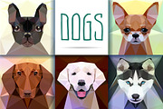Dogs collection