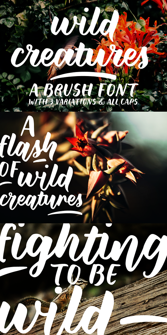 Wild Creatures brush font family in Display Fonts - product preview 5