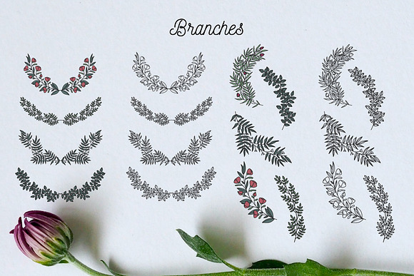 Wreath collection in Illustrations - product preview 6