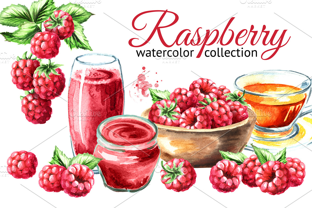 Raspberry. Watercolor collection in Illustrations - product preview 8
