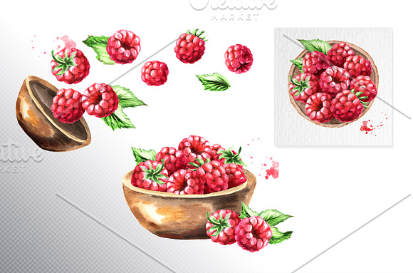 Raspberry. Watercolor collection in Illustrations - product preview 4
