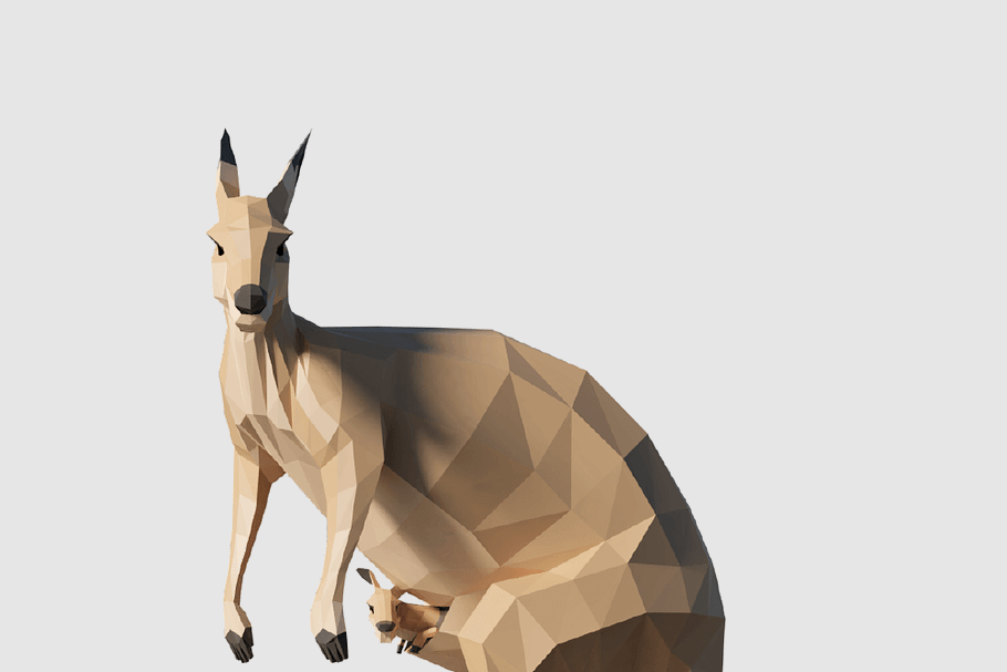 Kangaroo in Animals - product preview 8