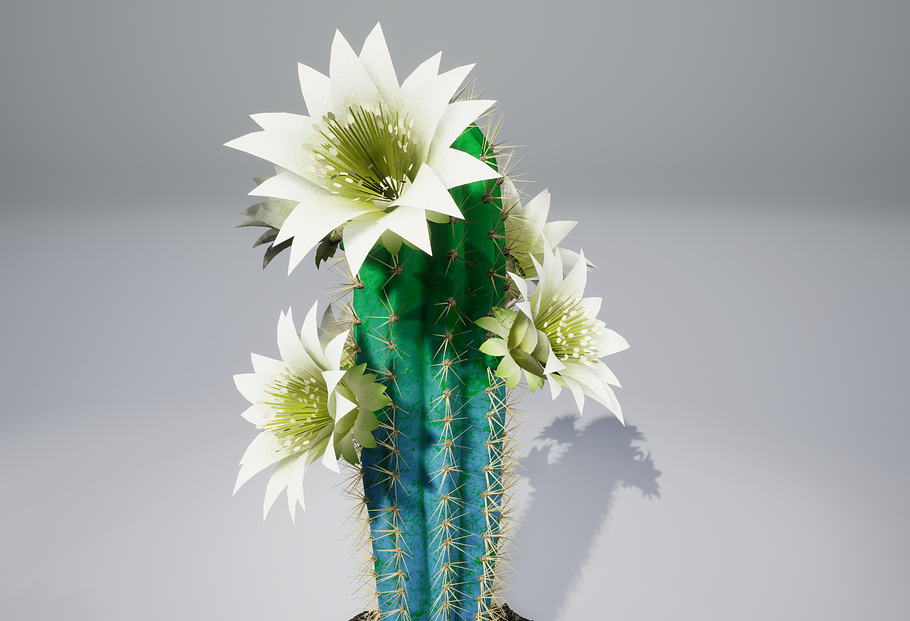Cactus BF in Nature - product preview 9