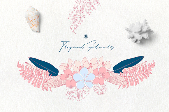 Tropical Flowers in Illustrations - product preview 2
