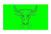  Animation Texas Longhorn Bull Snort