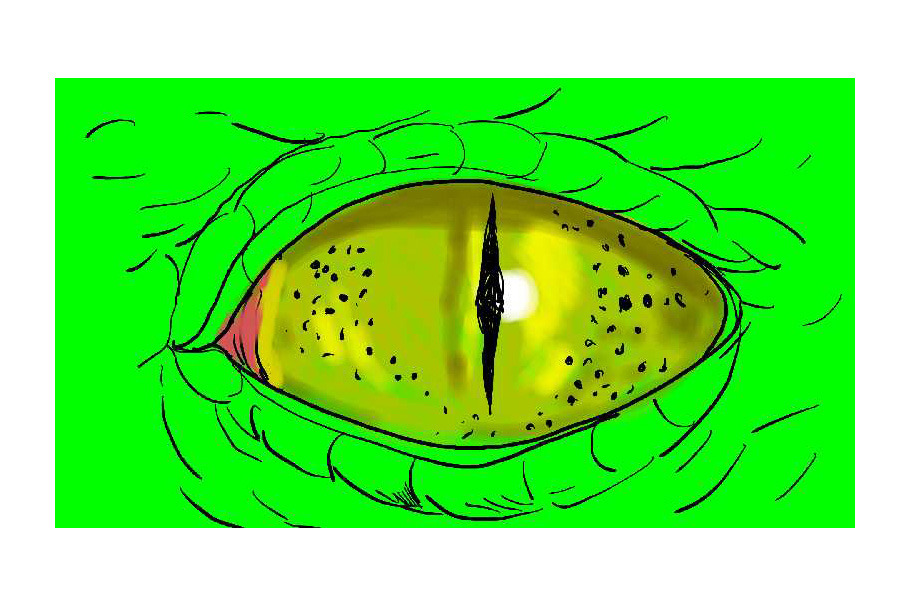  Animation Crocodile Eyes Blinking 