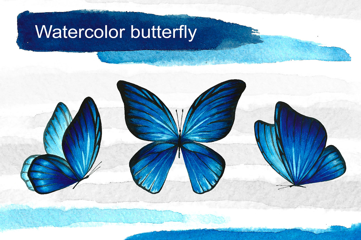 Blue watercolor butterflies in Illustrations - product preview 8