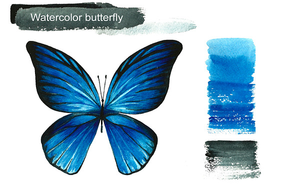Blue watercolor butterflies in Illustrations - product preview 2
