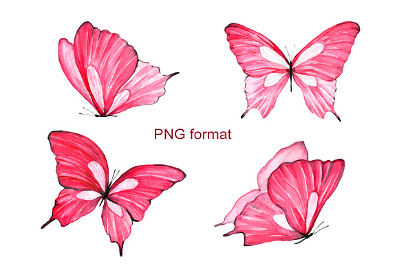 Watercolor pink butterflies in Illustrations - product preview 1